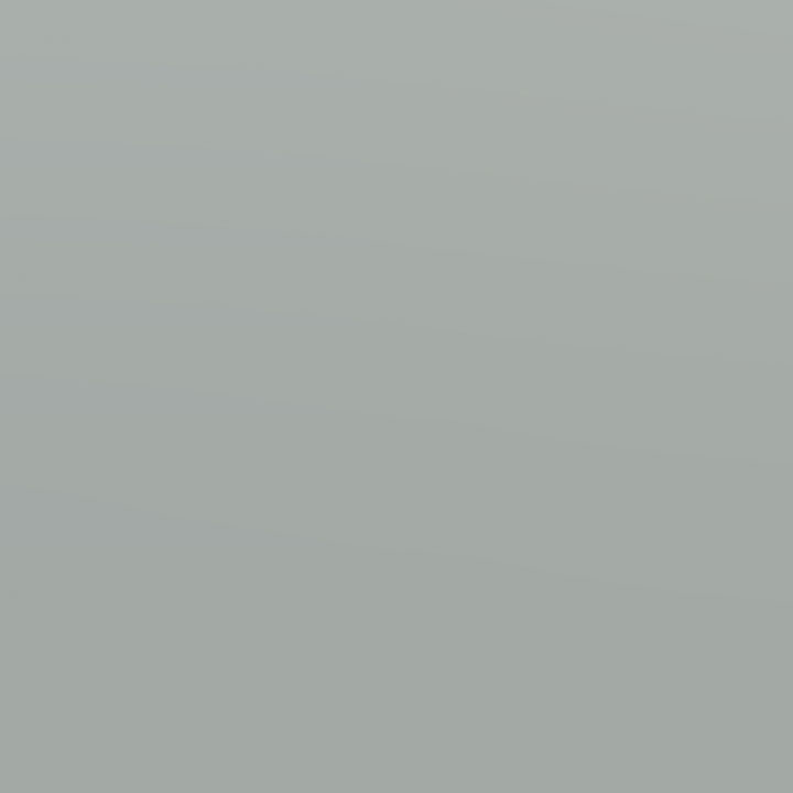 Shoreline Grey