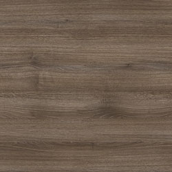 Shoreline Grey