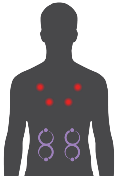 Fibro Therapy M Serie Fibro Therapy M Serie